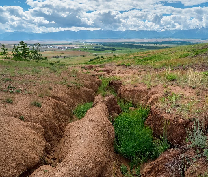 Commercial Erosion Control in South Carolina: Methods, Regulations, and Best Practices